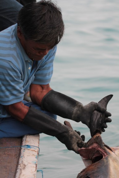 collecting tissue samples