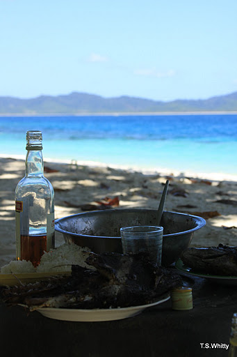 SAFRN Blog: “On Not Eating Fish and Other&nbsp;Animals”