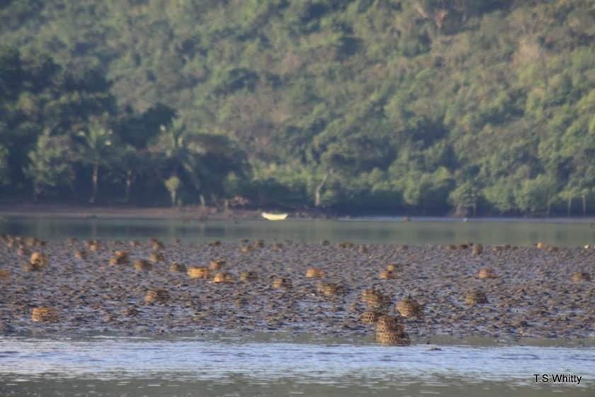 On “hopelessness”, ignorant bliss, and&nbsp;pragmatism