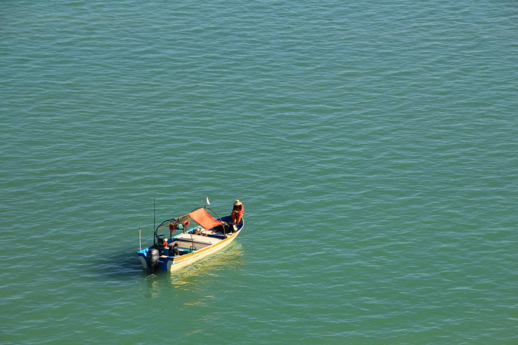 Read all about it: Some non-science musings on the human side of vaquita&nbsp;conservation