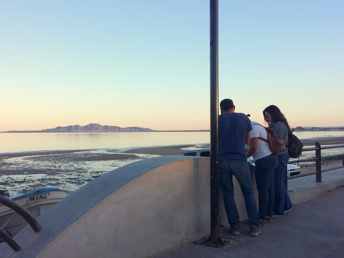 In Deep Sea News: Beyond drug lords and conservationists…