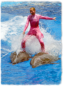 Some tips for aspiring conservation&nbsp;researchers